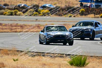 media/Nov-16-2024-Extreme Speed (Sat) [[6587d07cc4]]/Gold Group/Session 2 (Turns 3 and 5)/